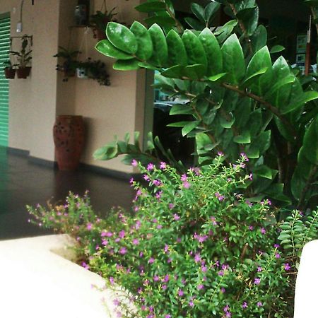 The Fern Lodge Hotel Skudai Exterior foto